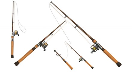 Fishing rods and reels display