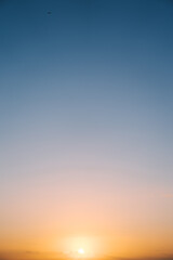 Bird at sunrise
