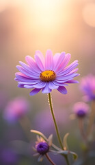 Enchanting Purple Daisy a Floral Delight