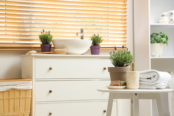 Pots with lavender flowers in modern bathroom