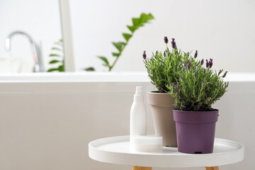 Pots with lavender flowers and cosmetic products on coffee table near bath in modern bathroom, closeup