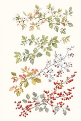Delicate Watercolor Branch with Leaves and Berries Botanical Illustration Asset