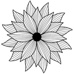 black and white flower isolated
