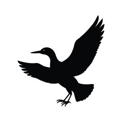 Silhouette of a bird in flight with wings spread wide open