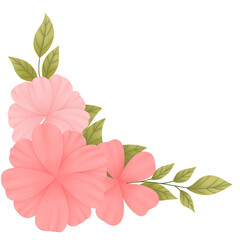 pink flower isolated on white