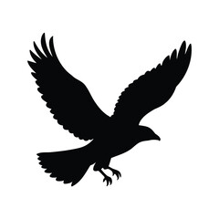 Black silhouette of a majestic bird of prey soaring in flight