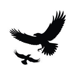 Two eagles flying together, silhouetted against a white background, majestic birds