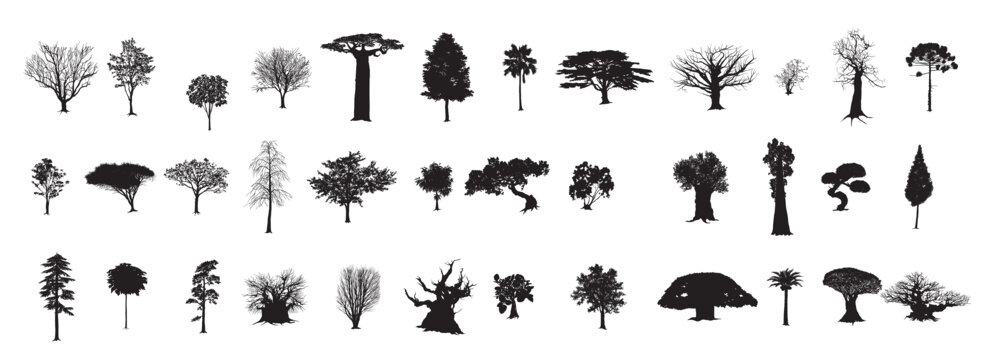Trees Black Collection