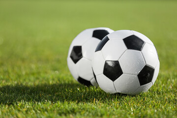 Fototapeta premium Soccer balls on green stadium grass