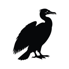 Obraz premium Silhouette of a Cormorant Standing Tall Against a White Background