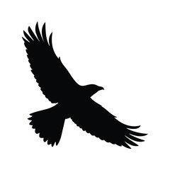 Silhouette of a majestic eagle soaring through the sky with outstretched wings