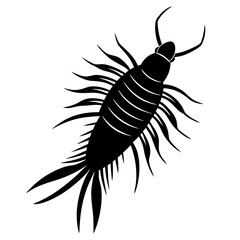 vector illustration of a black beetle