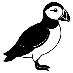vector image of a bird