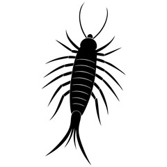 black silhouette of a spider