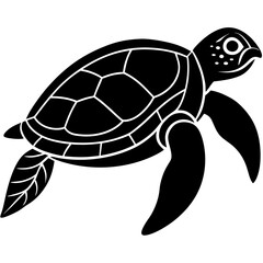 turtle vector illustration