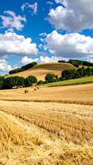 Fototapeta premium Golden field under a vibrant sky