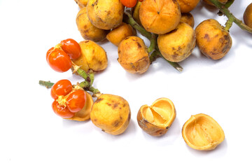 Baccaurea motleyana fruit is a fruit that tastes sour sweet.