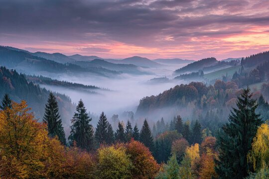 Misty valley at sunrise, autumn foliage on hills - Powered by Adobe