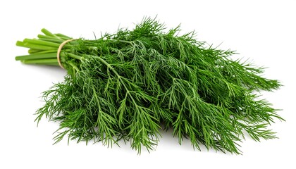 Fresh dill bunch on white background