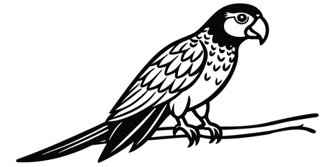 Obraz premium Stylized black and white illustration of a macaw parrot perched on a branch