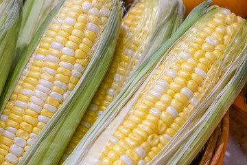 Fresh two-tone sweet corn pods have a milky white liquid when squeezed. The pod pods are light green.