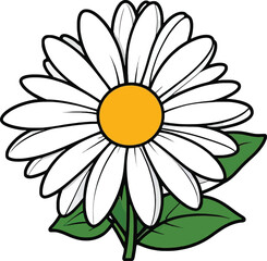 Aesthetic Fresh flowers