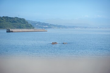 琴ヶ浜海岸の風景、神奈川県真鶴町、海岸線の眺め