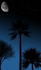 A tranquil night sky with a crescent moon and a canopy of stars, casting the silhouettes of three palm trees against a deep blue gradient