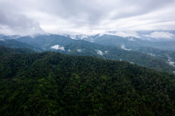 Obraz premium Landscape of Morning Mist with Mountain Layer. mountain ridge and clouds in rural jungle bush forest