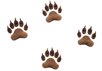 Four Brown Bear Paw Prints