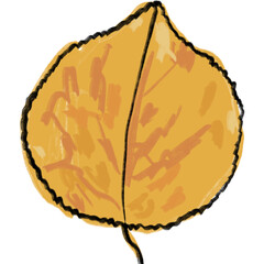 Hand drawing leaf illustrations unique