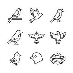 Obraz premium Collection of Bird Line Art Illustrations for Designs, Bird Silhouette Icons Set