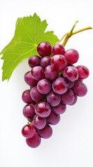 Fototapeta premium Fresh cluster of ripe purple grapes with green leaf on white background. International Grenache Day