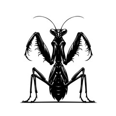 Black Silhouette Praying Mantis Insect.