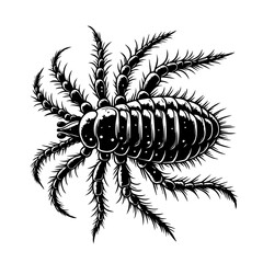 Detailed Black and White Illustration of a Spiky Insect 1.