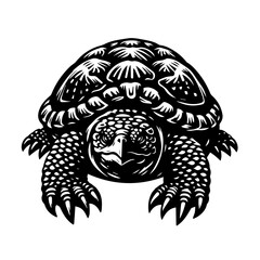 Detailed Black and White Illustration of a Tortoise 1.