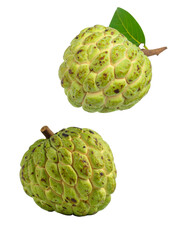 Obraz premium Fresh, healthy, and delicious custard apple fruit and isolated custard apple on a white background