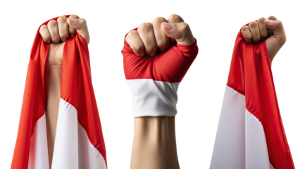 set of Celebrating Indonesian Independence Day or national day, featuring hand holding and grabbing the Indonesian flag, transparent Background.