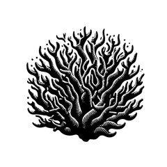 Intricate Black and White Coral Branch Illustration.