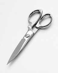 stainless steel kitchen scissors, isolated on white
