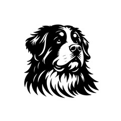 Majestic Bernese Mountain Dog Portrait.