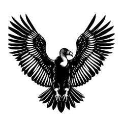Majestic Condor Bird with Wings Spread Wide.