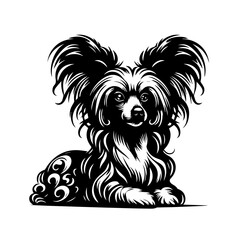 Stylized Black and White Chinese Crested Dog Portrait.