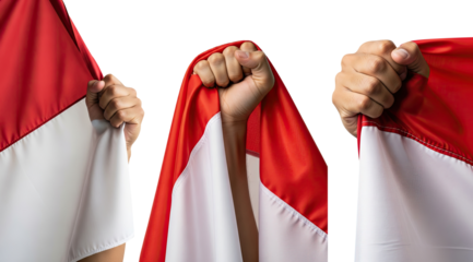 set of Celebrating Indonesian Independence Day or national day, featuring hand holding and grabbing the Indonesian flag, transparent Background.