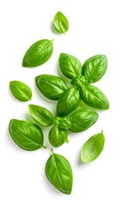 Fresh basil leaves scattered