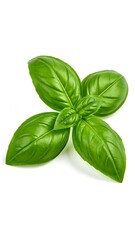 Fresh basil leaves, vibrant green