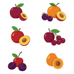 Cartoon Fruit Illustration with Plums Cherries Blueberries and Apricots on White Background