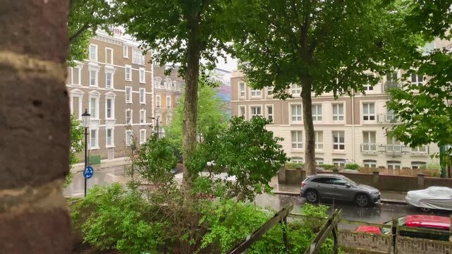 Large London Plane Trees, Street, Rainy Day In Notting Hill, 19th Century Classic Terraced Townhouses, Kensington And Chelsea Borough, West London, United Kingdom