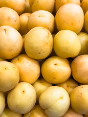 A bunch of yellow peaches, fruits, summer fruit. They are all the same size. They are piled on top of each other