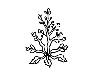 black and white floral background